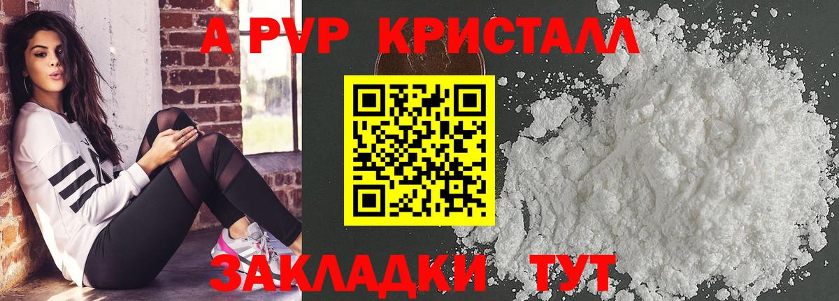 A PVP СК КРИС Пенза