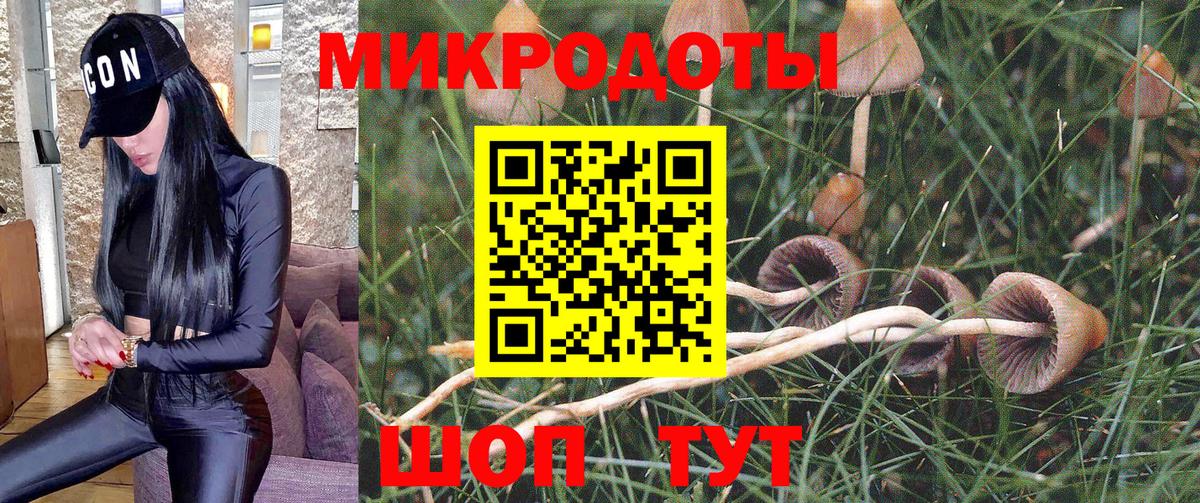 Пенза  Псилоцибиновые грибы Psilocybine cubensis  Вход с VPN 