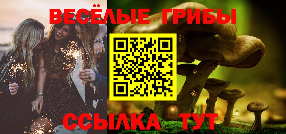 Псилоцибиновые грибы Psilocybine cubensis Пенза